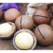 Macadamia nuts
